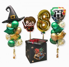 Набор воздушных шаров Harry Potter Set 307008